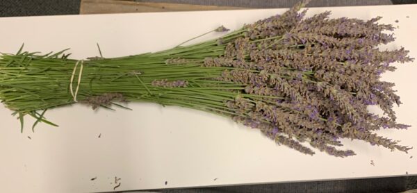 Lavender Dry Bundles