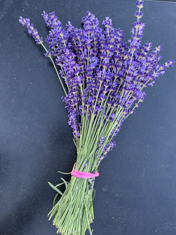 Lavender Dry Bundles